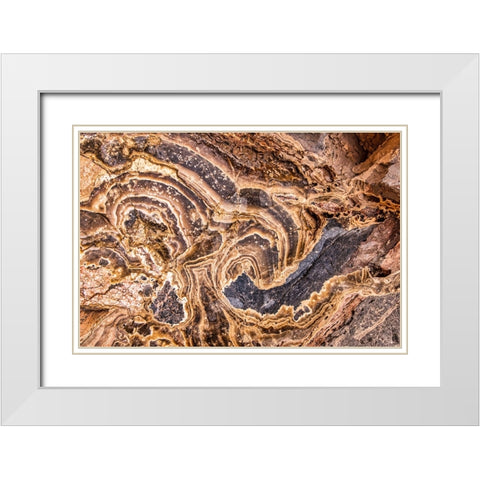 Marble Abstract-Titus Canyon-Death Valley White Modern Wood Framed Art Print with Double Matting by Ford, John