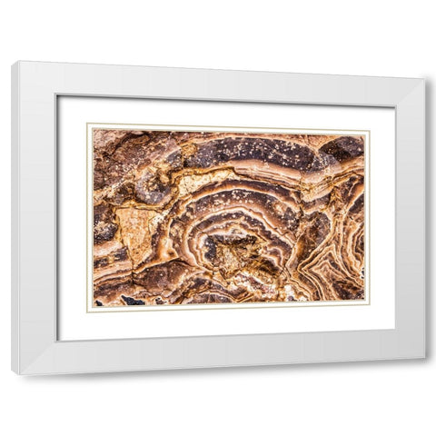 Marble Abstract-Titus Canyon-Death Valley White Modern Wood Framed Art Print with Double Matting by Ford, John