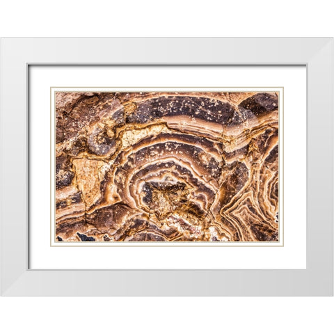 Marble Abstract-Titus Canyon-Death Valley White Modern Wood Framed Art Print with Double Matting by Ford, John