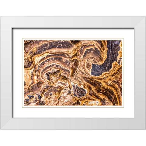Marble Abstract-Titus Canyon-Death Valley White Modern Wood Framed Art Print with Double Matting by Ford, John