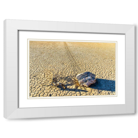 Race Track Rocks-Death Valley-California White Modern Wood Framed Art Print with Double Matting by Ford, John