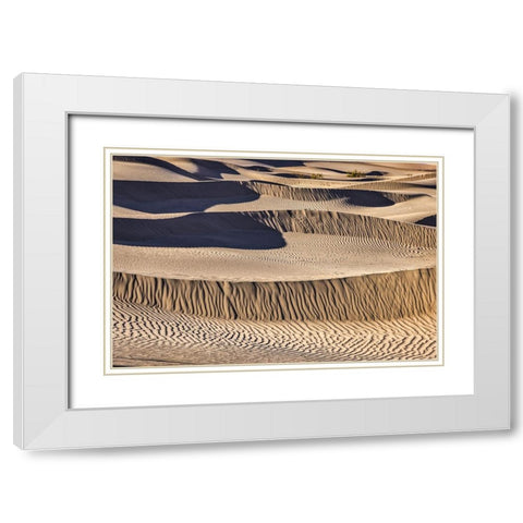 Mesquite Dunes-Death Valley National Park-California White Modern Wood Framed Art Print with Double Matting by Ford, John