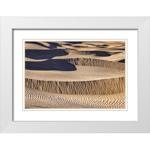 Mesquite Dunes-Death Valley National Park-California White Modern Wood Framed Art Print with Double Matting by Ford, John