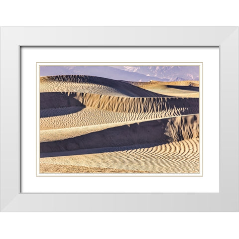 Mesquite Dunes-Death Valley National Park-California White Modern Wood Framed Art Print with Double Matting by Ford, John