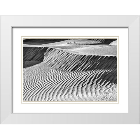 Mesquite Dunes-Death Valley National Park-California White Modern Wood Framed Art Print with Double Matting by Ford, John