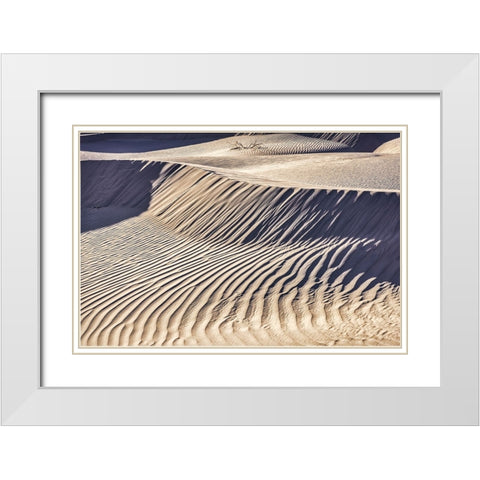 Mesquite Dunes-Death Valley National Park-California White Modern Wood Framed Art Print with Double Matting by Ford, John