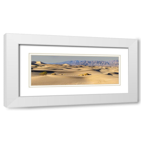 Mesquite Dunes-Death Valley National Park-California White Modern Wood Framed Art Print with Double Matting by Ford, John