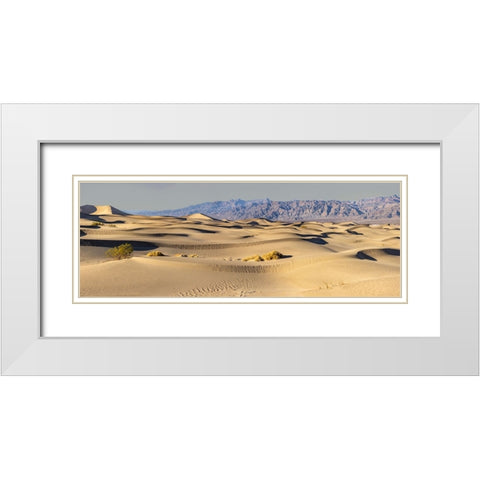 Mesquite Dunes-Death Valley National Park-California White Modern Wood Framed Art Print with Double Matting by Ford, John