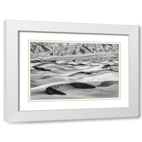 Mesquite Dunes-Death Valley National Park-California White Modern Wood Framed Art Print with Double Matting by Ford, John