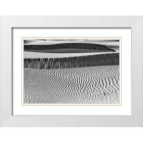 Mesquite Dunes-Death Valley National Park-California White Modern Wood Framed Art Print with Double Matting by Ford, John