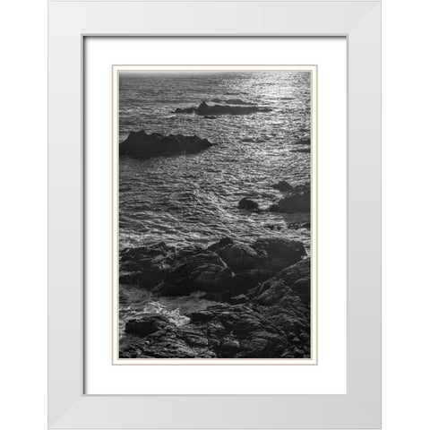 China Cove-Point Lobos-California White Modern Wood Framed Art Print with Double Matting by Ford, John