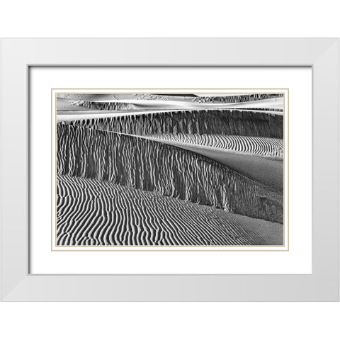 Mesquite Dunes-Death Valley National Park-California White Modern Wood Framed Art Print with Double Matting by Ford, John