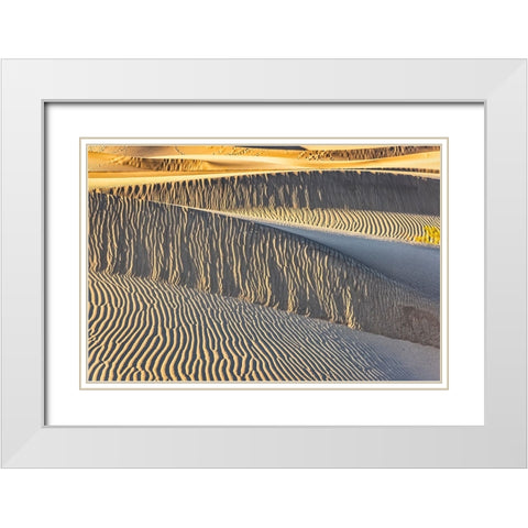 Mesquite Dunes-Death Valley National Park-California White Modern Wood Framed Art Print with Double Matting by Ford, John