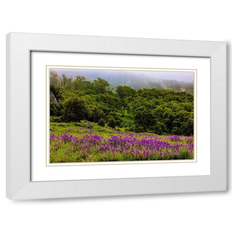 USA-California-Crescent City-Redwoods National Park-Bold Hills White Modern Wood Framed Art Print with Double Matting by Restuccia, Joe III