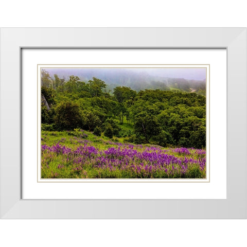 USA-California-Crescent City-Redwoods National Park-Bold Hills White Modern Wood Framed Art Print with Double Matting by Restuccia, Joe III