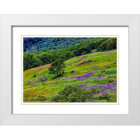 USA-California-Crescent City-Redwoods National Park-Bold Hills White Modern Wood Framed Art Print with Double Matting by Restuccia, Joe III