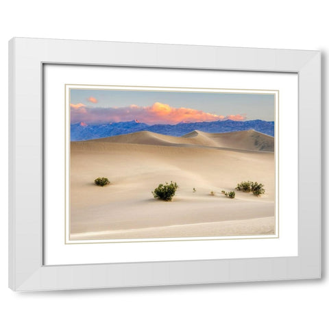 California Death Valley National Park-Mesquite Flat Sand Dunes White Modern Wood Framed Art Print with Double Matting by Wild, Jamie and Judy