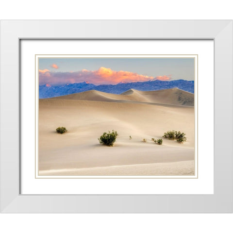 California Death Valley National Park-Mesquite Flat Sand Dunes White Modern Wood Framed Art Print with Double Matting by Wild, Jamie and Judy