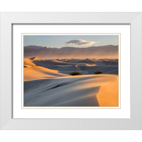 California Death Valley National Park-Mesquite Flat Sand Dunes White Modern Wood Framed Art Print with Double Matting by Wild, Jamie and Judy