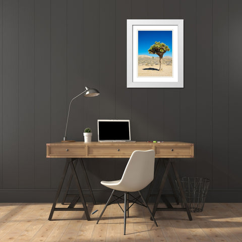 California Joshua Trees White Modern Wood Framed Art Print with Double Matting by Wild, Jamie and Judy