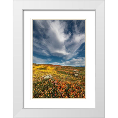 California Fields of California Poppy-Goldfields with clouds-Antelope Valley White Modern Wood Framed Art Print with Double Matting by Zimmerman, Judith