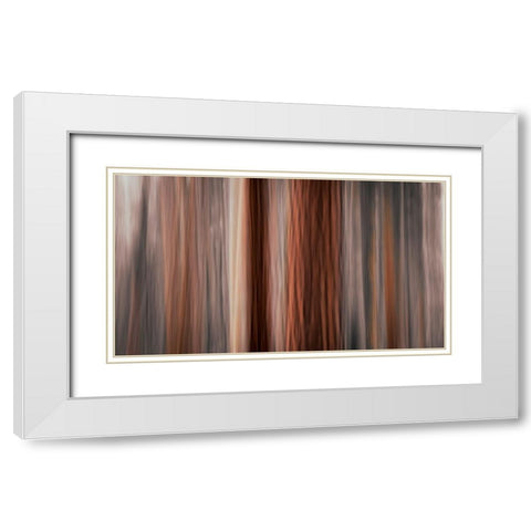 Forest abstract-Yosemite National Park-California-USA White Modern Wood Framed Art Print with Double Matting by Bishop, Russ