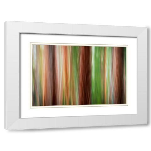 Forest abstract-Yosemite National Park-California-USA White Modern Wood Framed Art Print with Double Matting by Bishop, Russ
