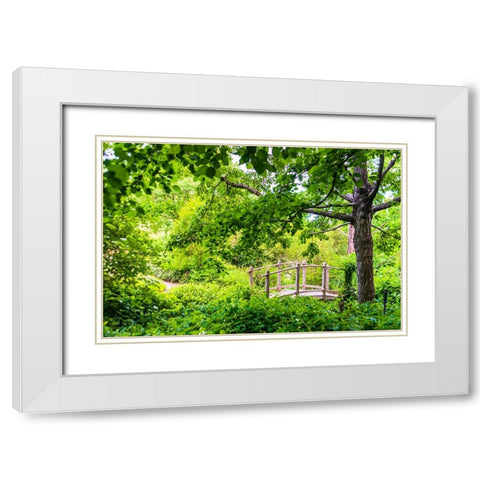 A wooden bridge crossing a small creek alongside a dirt path in a very green-lush forest setting White Modern Wood Framed Art Print with Double Matting by Haddad, Sheila