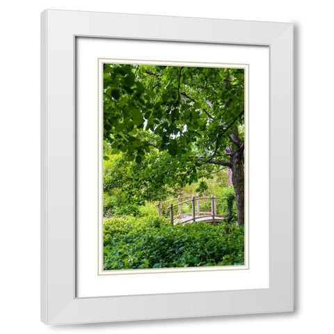 A wooden bridge crossing a small creek alongside a dirt path in a very green-lush forest setting White Modern Wood Framed Art Print with Double Matting by Haddad, Sheila