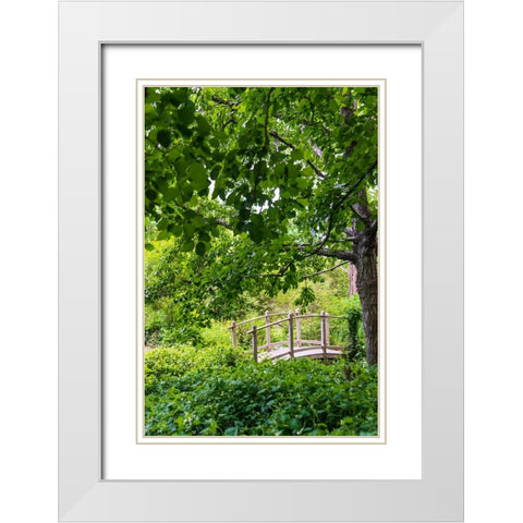 A wooden bridge crossing a small creek alongside a dirt path in a very green-lush forest setting White Modern Wood Framed Art Print with Double Matting by Haddad, Sheila