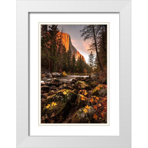 Fall along Merced River in Yosemite National Park-California White Modern Wood Framed Art Print with Double Matting by SMO