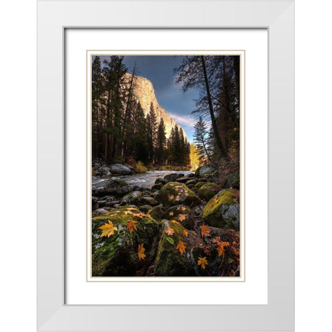 Autumn along Merced River in Yosemite National Park-California White Modern Wood Framed Art Print with Double Matting by SMO