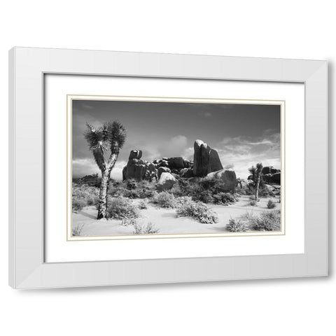 Winter storm-Joshua Tree National Park-California White Modern Wood Framed Art Print with Double Matting by Muench, Zandria