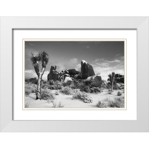 Winter storm-Joshua Tree National Park-California White Modern Wood Framed Art Print with Double Matting by Muench, Zandria