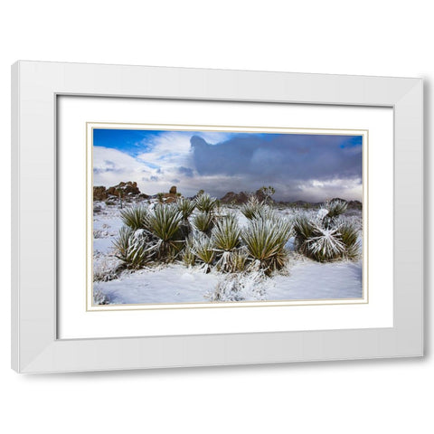 Winter storm-Joshua Tree National Park-California White Modern Wood Framed Art Print with Double Matting by Muench, Zandria