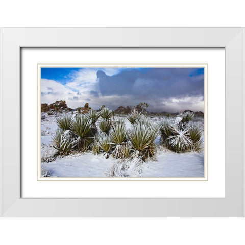 Winter storm-Joshua Tree National Park-California White Modern Wood Framed Art Print with Double Matting by Muench, Zandria