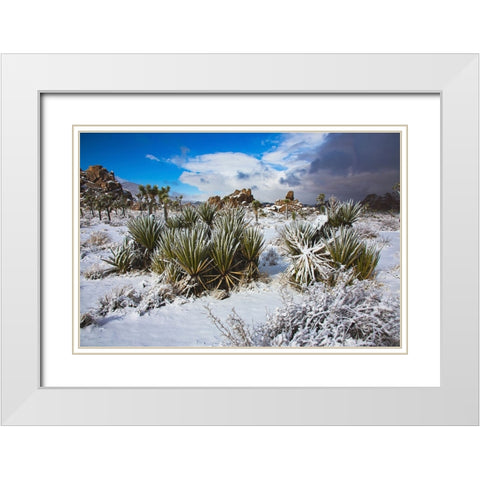 Winter storm-Joshua Tree National Park-California White Modern Wood Framed Art Print with Double Matting by Muench, Zandria