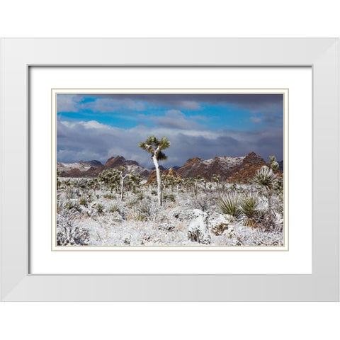 Winter storm-Joshua Tree National Park-California White Modern Wood Framed Art Print with Double Matting by Muench, Zandria