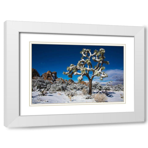 Winter storm-Joshua Tree National Park-California White Modern Wood Framed Art Print with Double Matting by Muench, Zandria