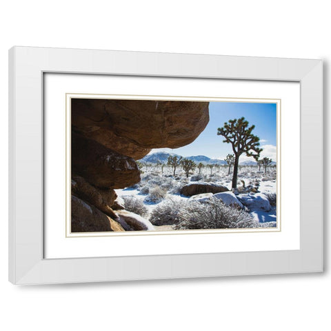Winter storm-Joshua Tree National Park-California White Modern Wood Framed Art Print with Double Matting by Muench, Zandria