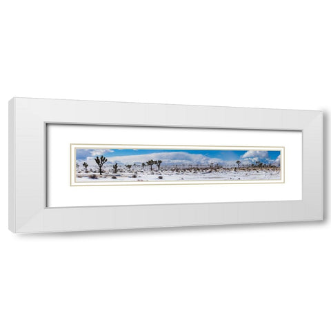 Winter storm-Joshua Tree National Park-California White Modern Wood Framed Art Print with Double Matting by Muench, Zandria