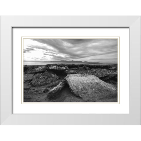 Salton Sea- Imperial Valley- California White Modern Wood Framed Art Print with Double Matting by Muench, Zandria