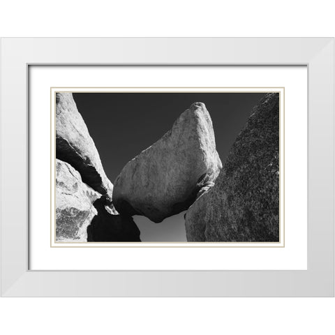 Joshua Tree National Park- California White Modern Wood Framed Art Print with Double Matting by Muench, Zandria