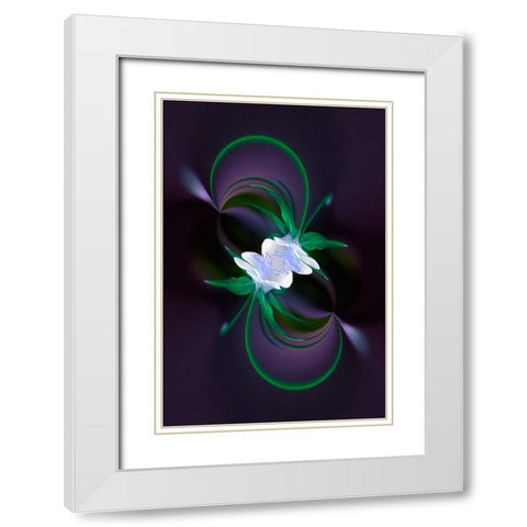 Columbine flower-Colorado White Modern Wood Framed Art Print with Double Matting by Jones, Adam