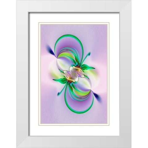 Columbine flower-Colorado White Modern Wood Framed Art Print with Double Matting by Jones, Adam