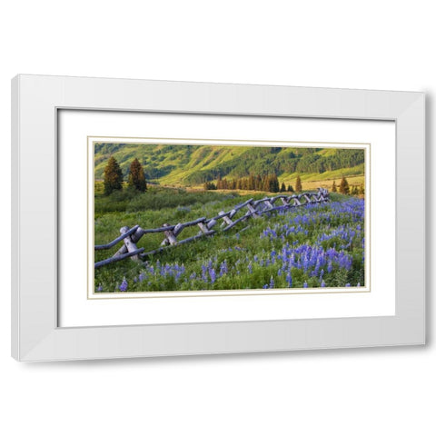 CO, Crested Butte Fence in a mountain valley White Modern Wood Framed Art Print with Double Matting by Rotenberg, Nancy