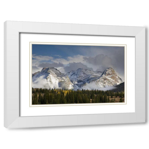 CO, Uncompahgre NF Grenadier Range in autumn White Modern Wood Framed Art Print with Double Matting by Grall, Don