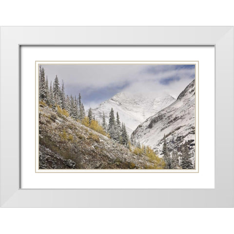 CO, Rocky Mts, Cinnamon Pass Autumn snowfall, White Modern Wood Framed Art Print with Double Matting by Grall, Don
