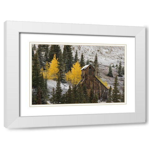 CO, Uncompahgre NF, An abandoned mine in fall White Modern Wood Framed Art Print with Double Matting by Grall, Don