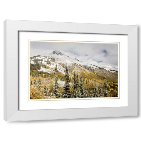 CO, Uncompahgre NF Mountain and aspens in autumn White Modern Wood Framed Art Print with Double Matting by Grall, Don